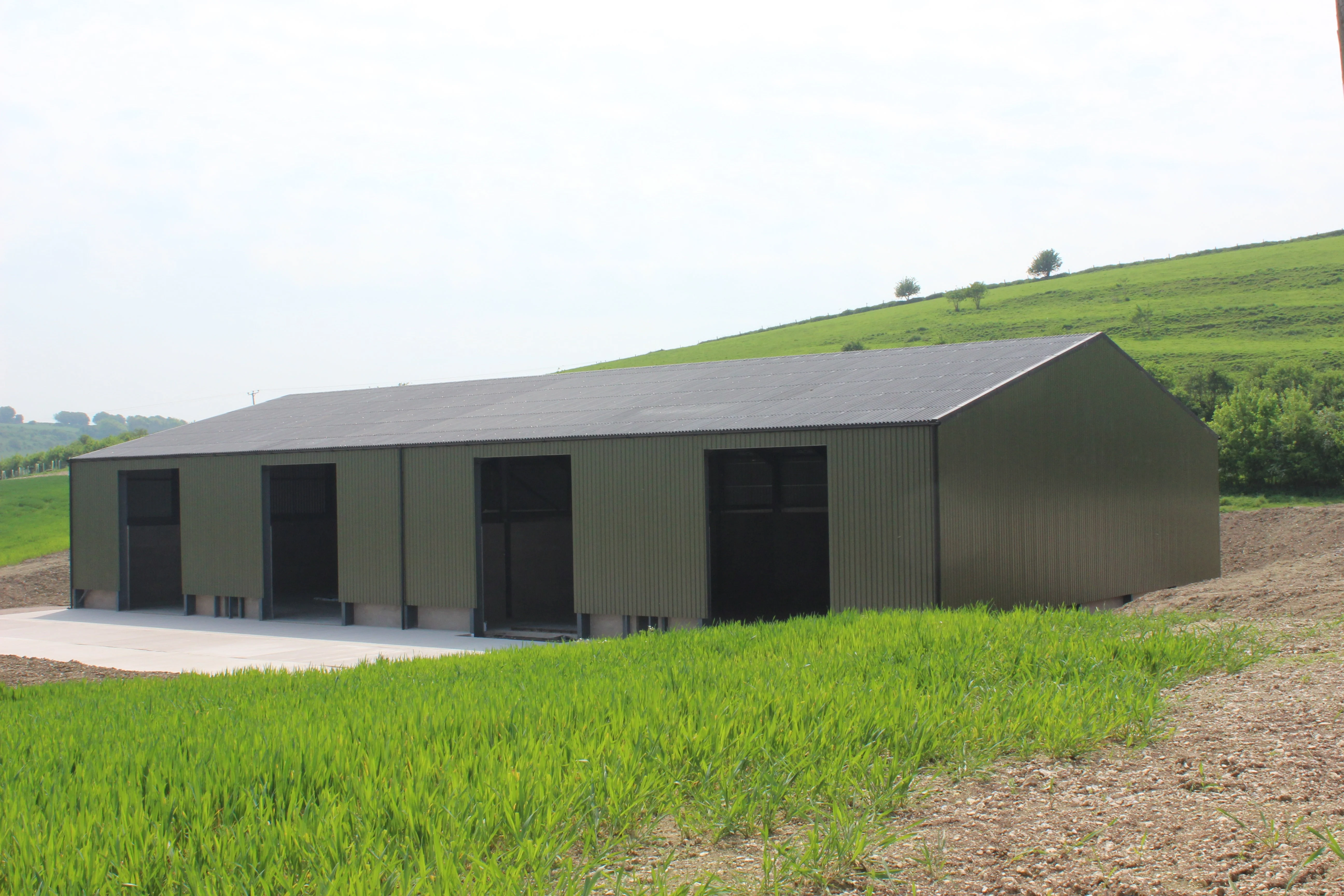 32/1000 Box Profile Sheeting 0.5 Polyester Paint Coated Roof Sheet Stock Lengths - Image 8